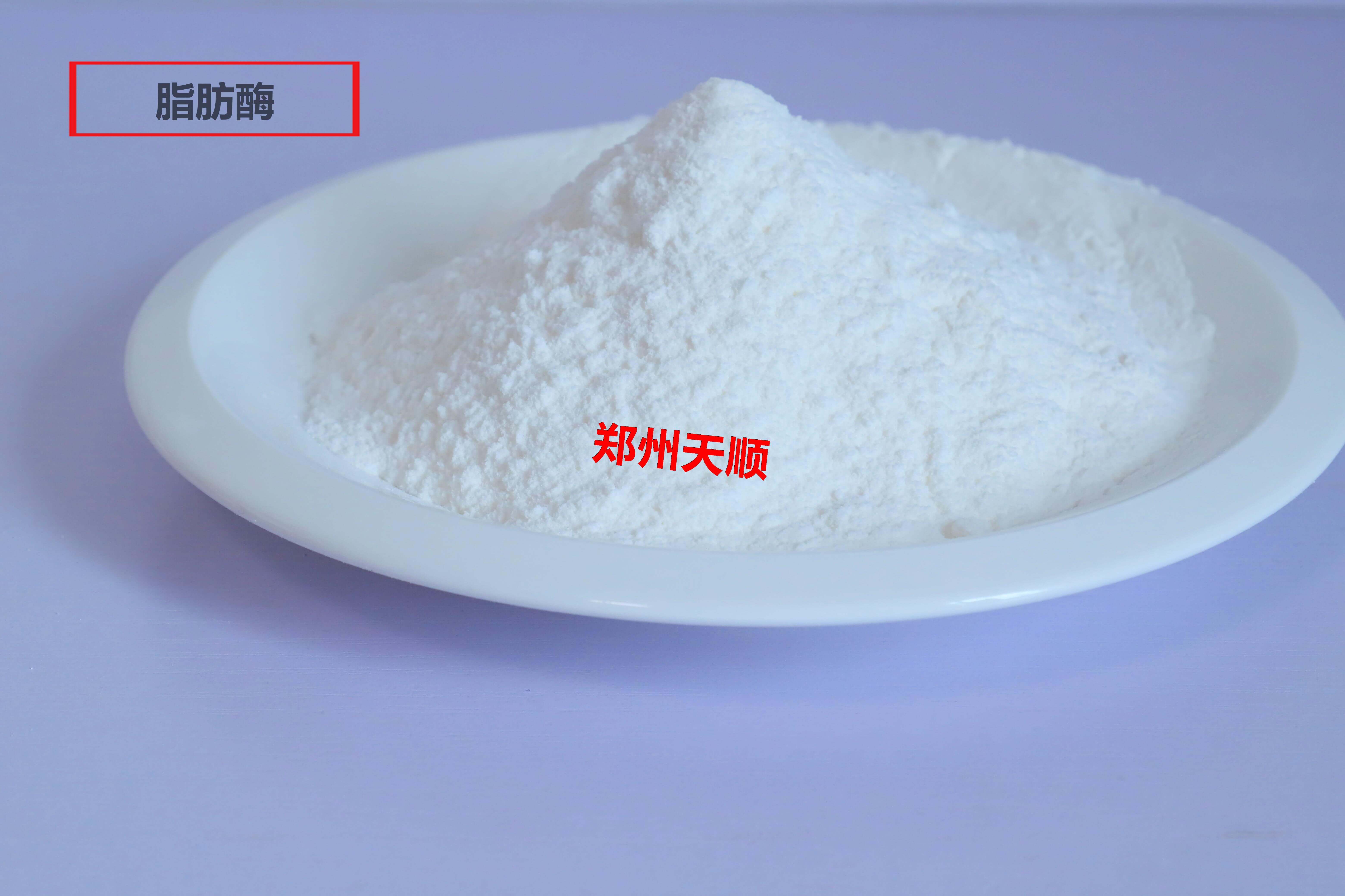 脂肪酶生產(chǎn)廠(chǎng)家大量批發(fā)供應優(yōu)質(zhì)食品級脂肪酶(脂肪酶的作用和用途是什么)
