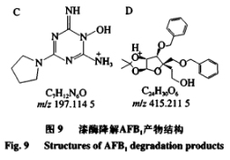 重組漆酶降解黃曲霉毒素B1分子對接分析及產(chǎn)物結構解析（四）