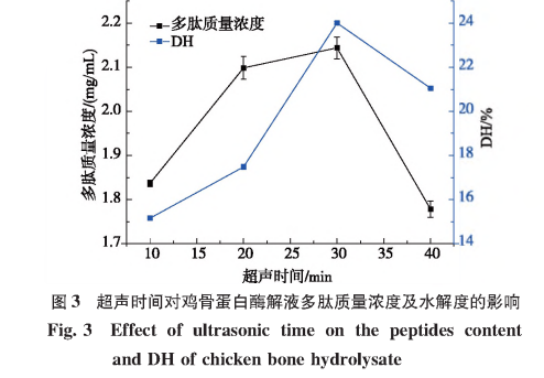 超聲波對雞骨蛋白酶解產(chǎn)物的影響及機理研究