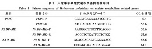 紅肉火龍果采后品質(zhì)劣變及蘋(píng)果酸代謝研究（一）