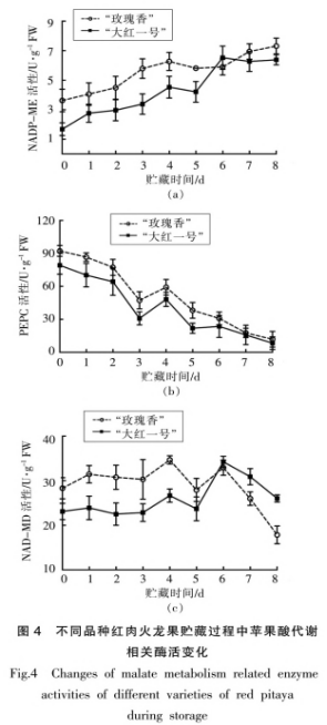 紅肉火龍果采后品質(zhì)劣變及蘋(píng)果酸代謝研究（二）