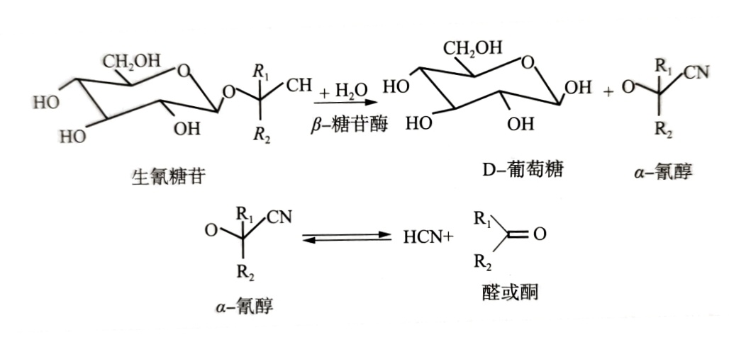 酒中氰化物的測定標準操作程序之靜態(tài)頂空——氣相色譜法（一）