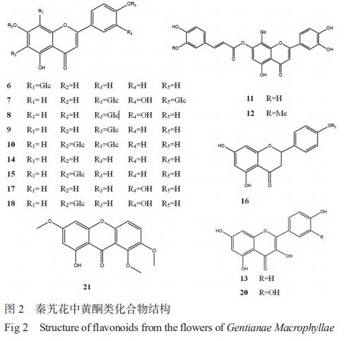 秦艽花化學(xué)成分、藥理作用及其臨床應用的研究進(jìn)展 （一）