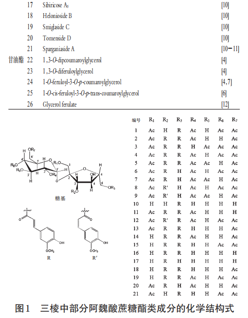 紅外光譜結合化學(xué)計量學(xué)快速鑒別不同環(huán)境發(fā)汗丹參（一）