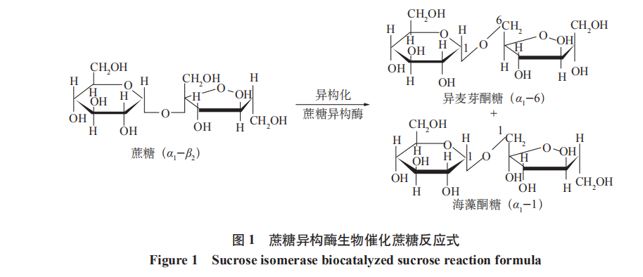 異麥芽酮糖溶液穩定性影響因素研究（一）