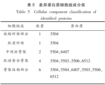堿性蛋白酶降解鰱魚(yú)肌原纖維蛋白的組學(xué)分析（二）