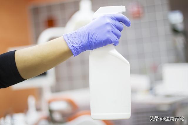 雞場(chǎng)消毒3大法寶，養雞高手這樣用，幾塊錢(qián)解決致病菌，省錢(qián)好用