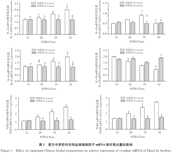 復方中草藥對肉雞生長(cháng)性能及天然免疫相關(guān)基因mRNA表達的影響（二）