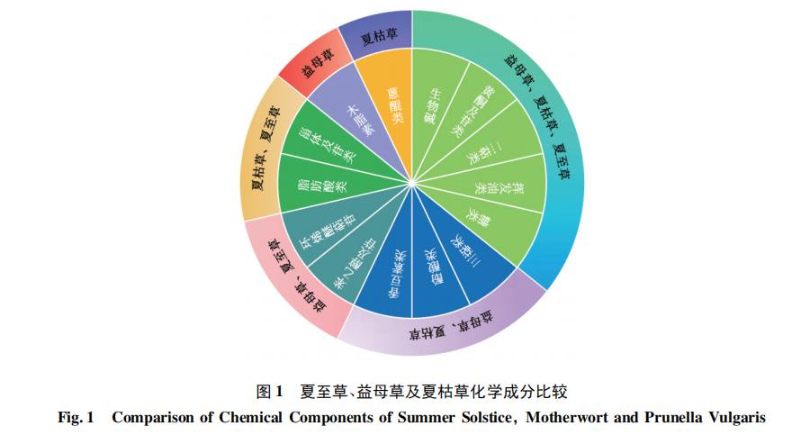 夏至草、益母草及夏枯草的化學(xué)成分及藥理作用研究進(jìn)展（一）
