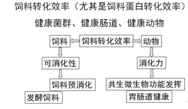 生物飼料及其替代和減少抗生素使用技術(shù)研究進(jìn)展（一）