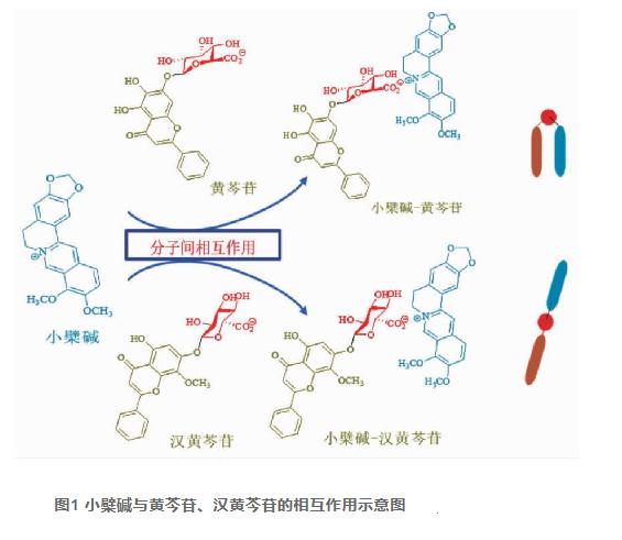 當歸六黃湯的研究進(jìn)展（二）