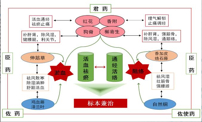 基于“五原則”結合蛛網(wǎng)模型辨析舒筋活血膠囊中的質(zhì)量標志物（二）