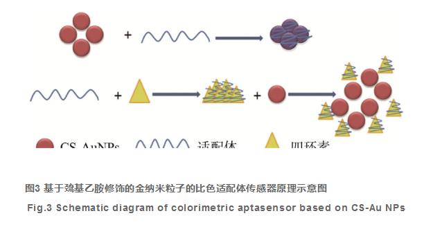 核酸適配體傳感器在四環(huán)素類(lèi)抗生素檢測中的應用（二）