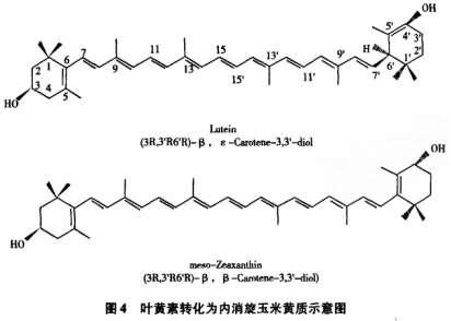 內消旋玉米黃質(zhì)一種健康功能的重要類(lèi)胡蘿卜素（二）