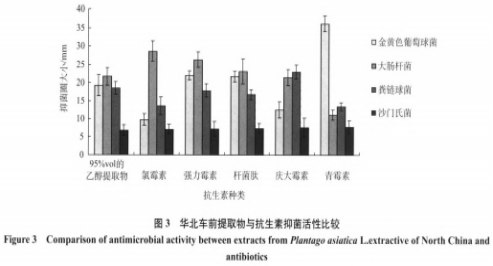 華北車(chē)前提取物的抑菌活性及其穩定性研究（二）