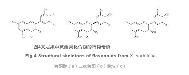 文冠果研究開(kāi)發(fā)進(jìn)展（三）
