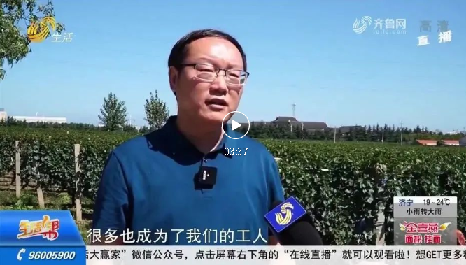 蓬萊產(chǎn)區豐收成焦點(diǎn)，中國盛唐·國賓酒莊再上山東衛視