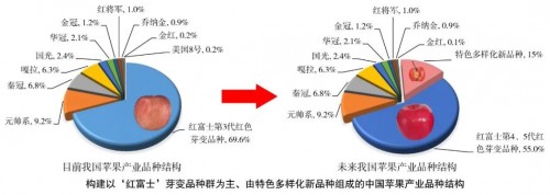 威海金蘋(píng)果優(yōu)質(zhì)高效栽培關(guān)鍵技術(shù)