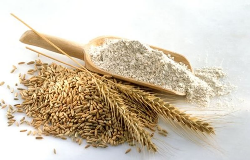 如何利用小麥蛋白酶解制備小麥蛋白多肽？