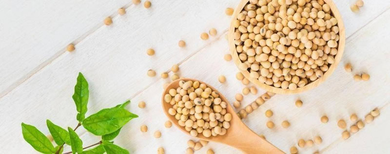 為什么酶解大豆蛋白制備大豆肽口感是苦的？如何解決？