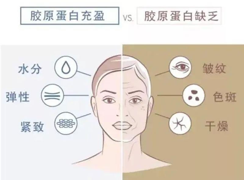 酶解鱈魚(yú)皮制備膠原蛋白的影響因素有哪些？