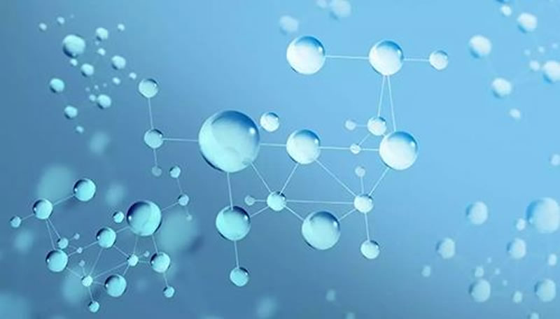 堿性蛋白酶制備小分子蛋白肽的有點(diǎn)有哪些？