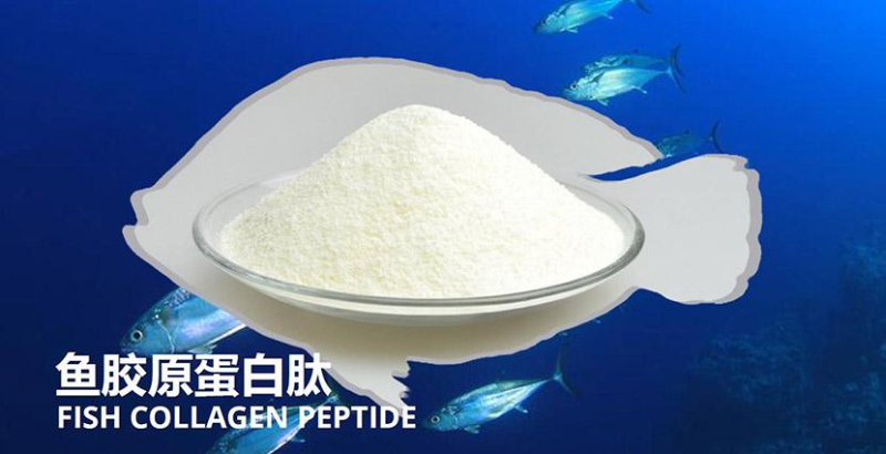鱈魚(yú)如何酶解提取魚(yú)皮膠原蛋白？