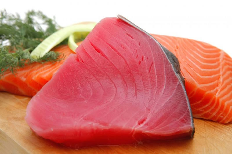 如何酶解金槍魚(yú)提高寵物貓糧誘食劑風(fēng)味性？
