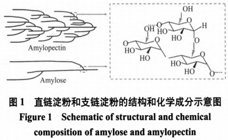辛烯基琥珀酸淀粉鈉的合成及結構表征研究進(jìn)展（一）