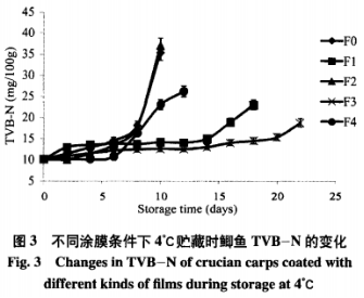 添加迷迭香提取物及植酸的魚(yú)鱗明膠可食膜對鯽魚(yú)保鮮效果的影響（三）
