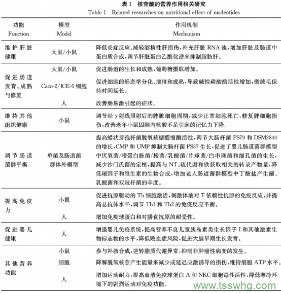 核酸代謝與營(yíng)養研究及發(fā)展趨勢（三）