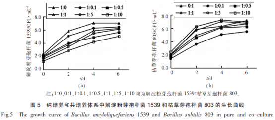 山西老陳醋優(yōu)良芽孢菌與醋酸菌、乳酸菌的相互作用（三）