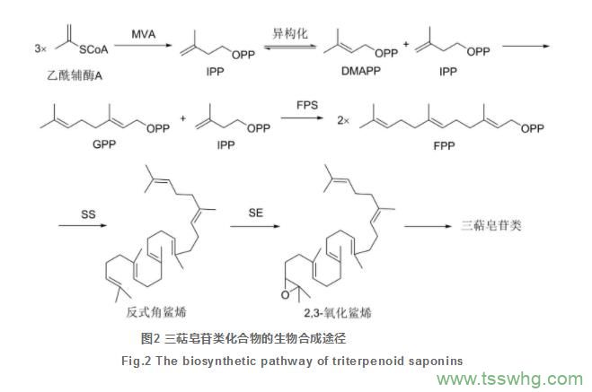 過(guò)磷酸鈣中有效磷(P2O5)含量的測定（三）