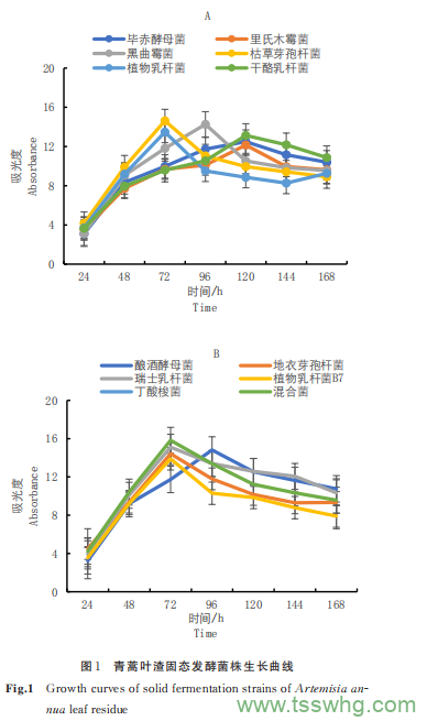 11 類(lèi)菌種固態(tài)發(fā)酵對青蒿葉渣功效成分的影響（二）